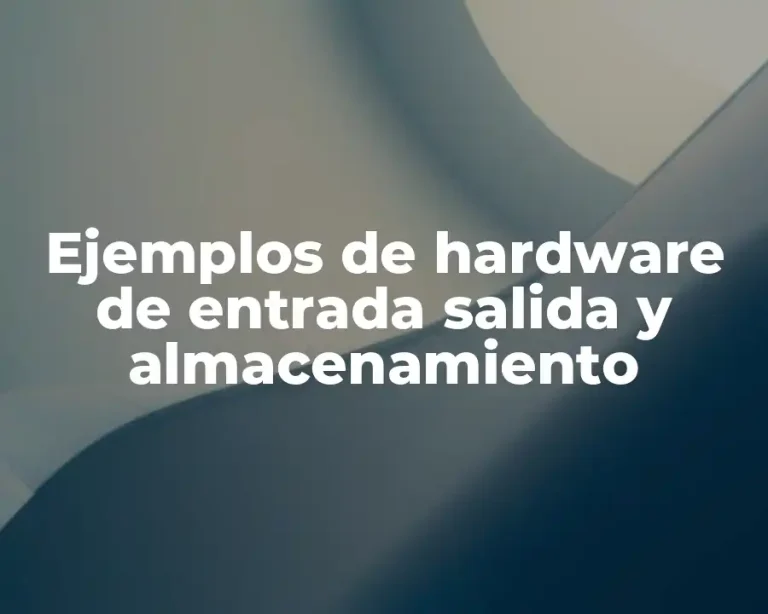 Ejemplos de hardware de entrada salida y almacenamiento