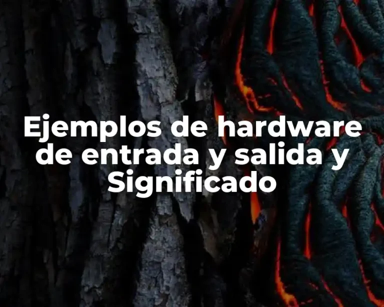 Ejemplos de hardware de entrada y salida y Significado