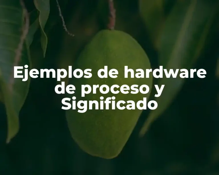 Ejemplos de hardware de proceso y Significado