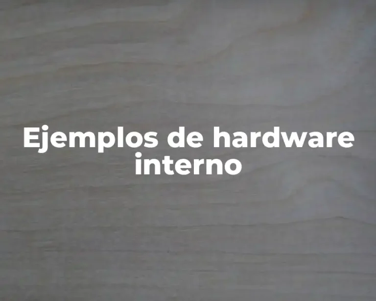 Ejemplos de hardware interno