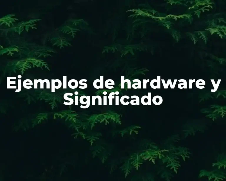 Ejemplos de hardware y Significado
