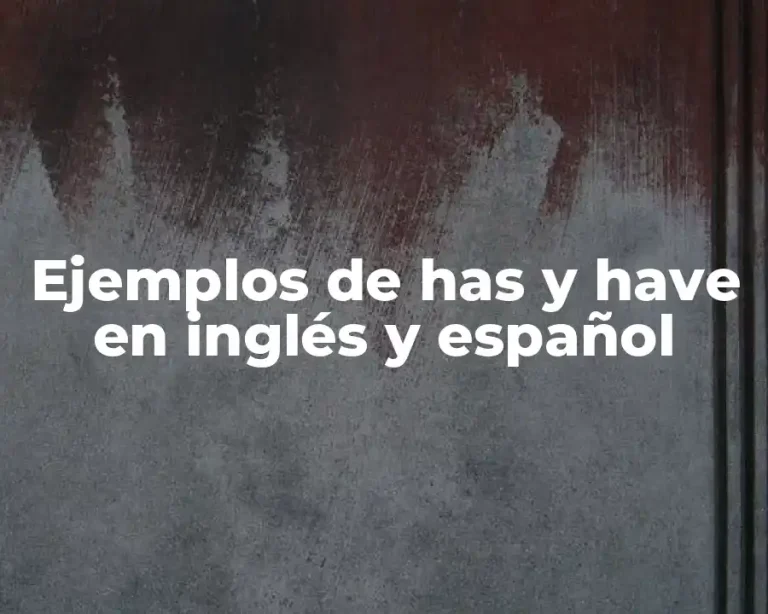 Ejemplos de has y have en inglés y español