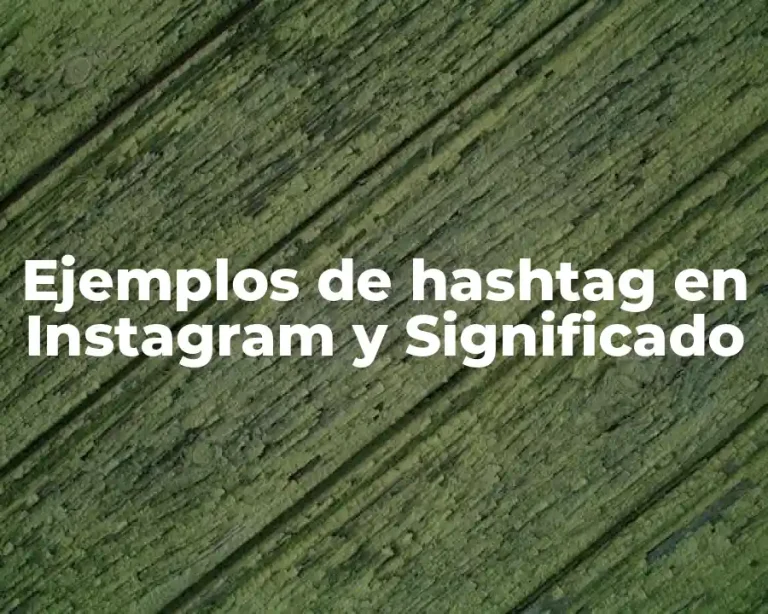 Ejemplos de hashtag en Instagram y Significado