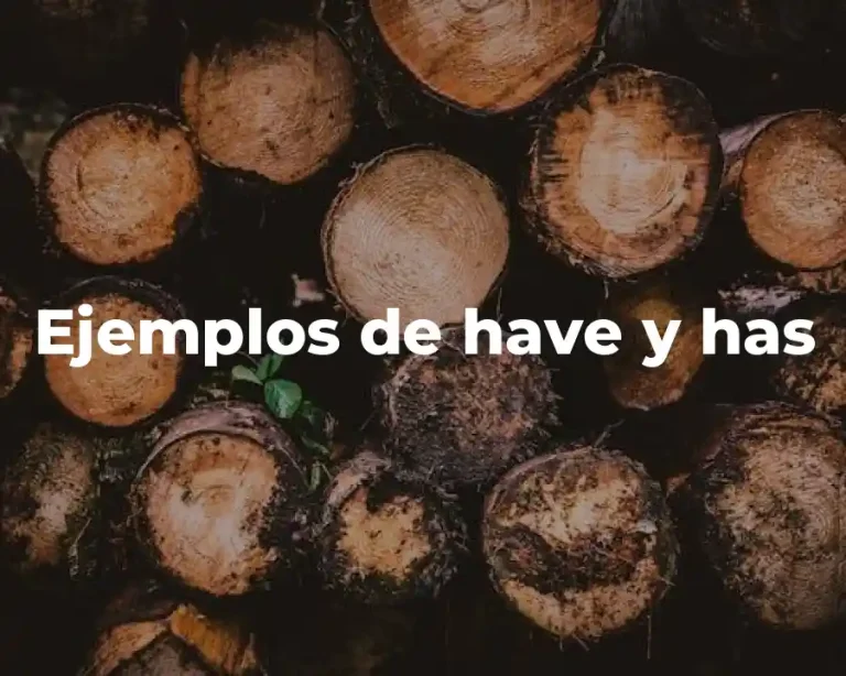 Ejemplos de have y has