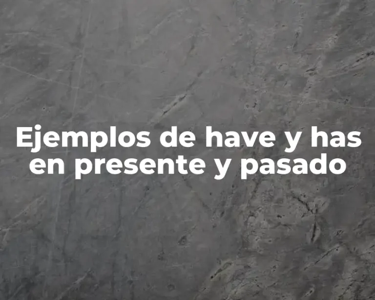 Ejemplos de have y has en presente y pasado