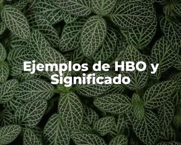 Ejemplos de HBO y Significado