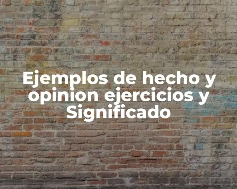 Ejemplos de hecho y opinion ejercicios y Significado