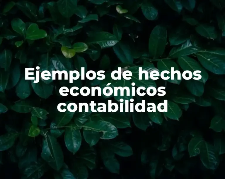 Ejemplos de hechos económicos contabilidad