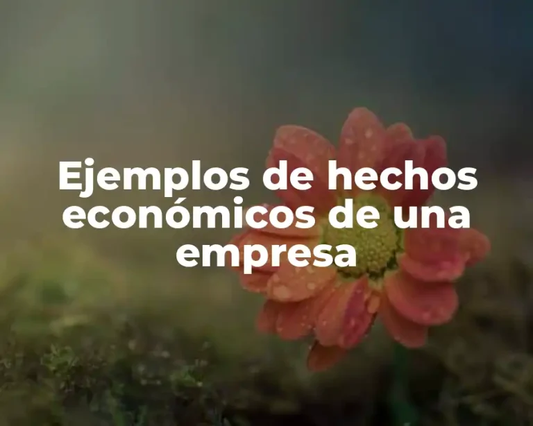 Ejemplos de hechos económicos de una empresa