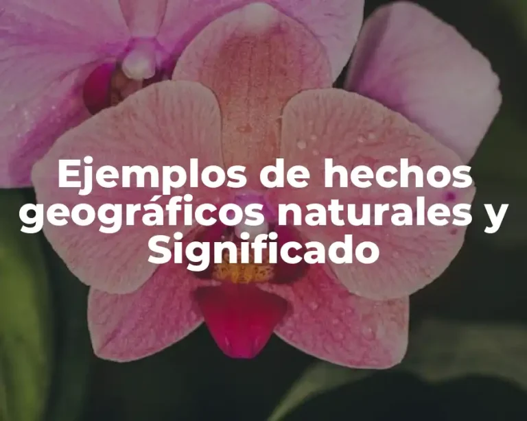 Ejemplos de hechos geográficos naturales y Significado