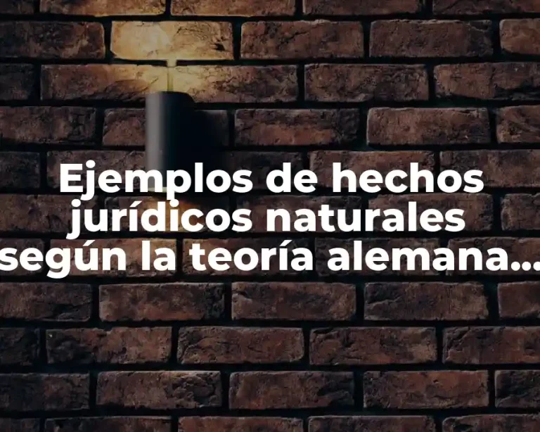 Ejemplos de hechos jurídicos naturales según la teoría alemana y Significado