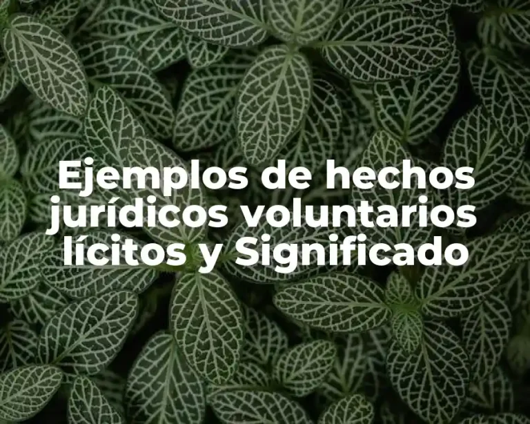 Ejemplos de hechos jurídicos voluntarios lícitos y Significado