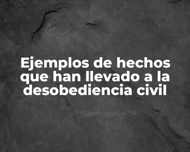 Ejemplos de hechos que han llevado a la desobediencia civil
