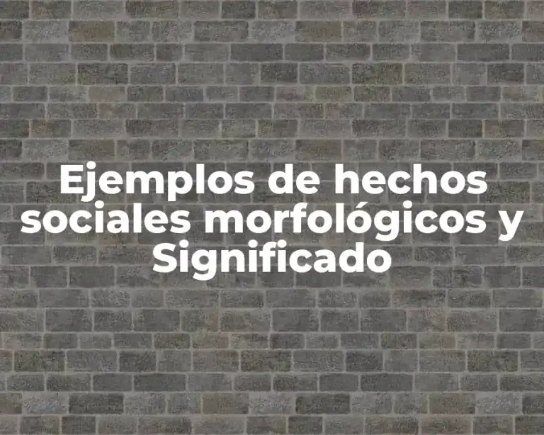Ejemplos de hechos sociales morfológicos y Significado