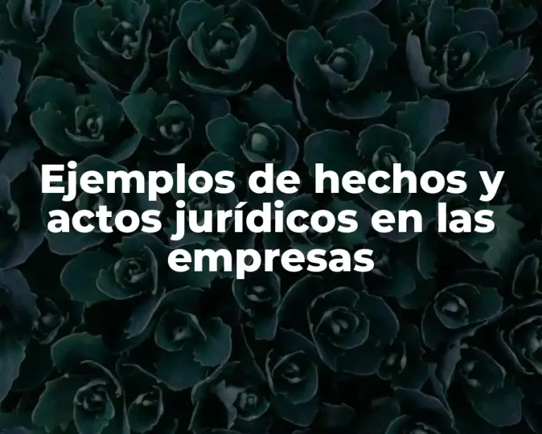 Ejemplos de hechos y actos jurídicos en las empresas