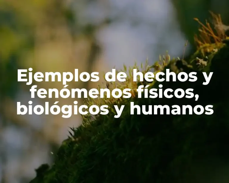Ejemplos de hechos y fenómenos físicos, biológicos y humanos