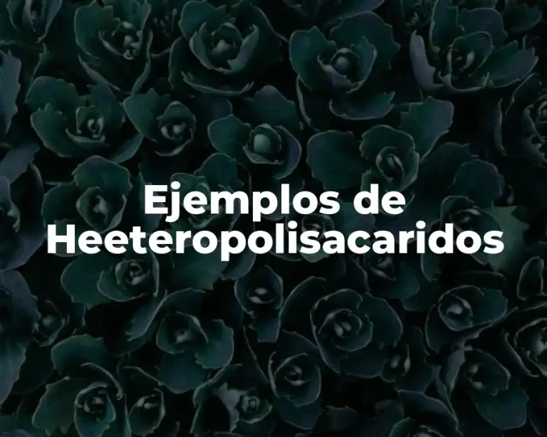 Ejemplos de Heeteropolisacaridos