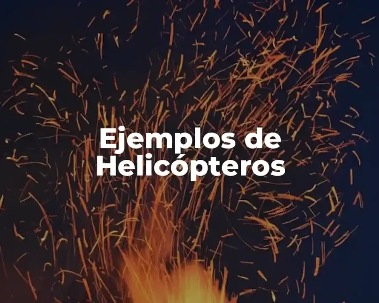 Ejemplos de Helicópteros