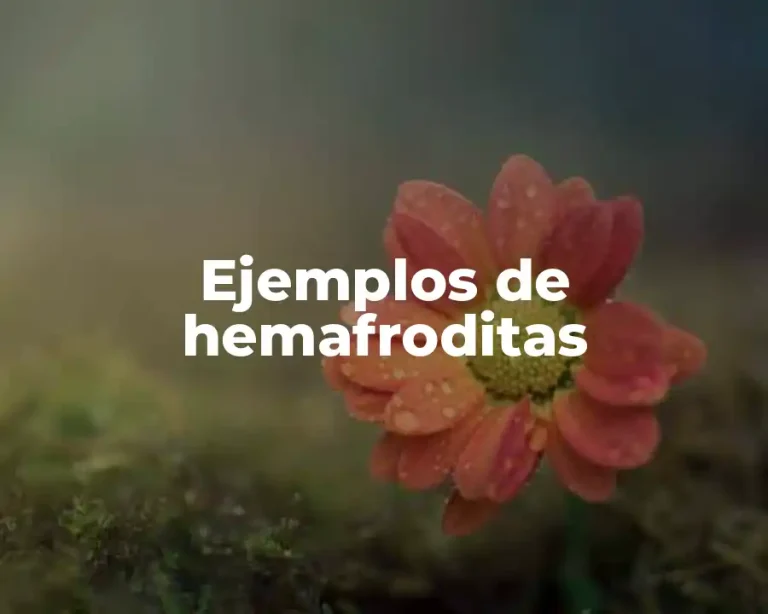 Ejemplos de hemafroditas