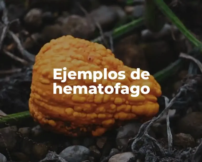 Ejemplos de hematofago