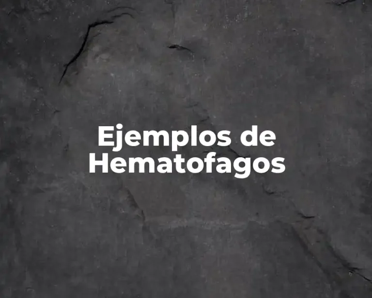 Ejemplos de Hematofagos
