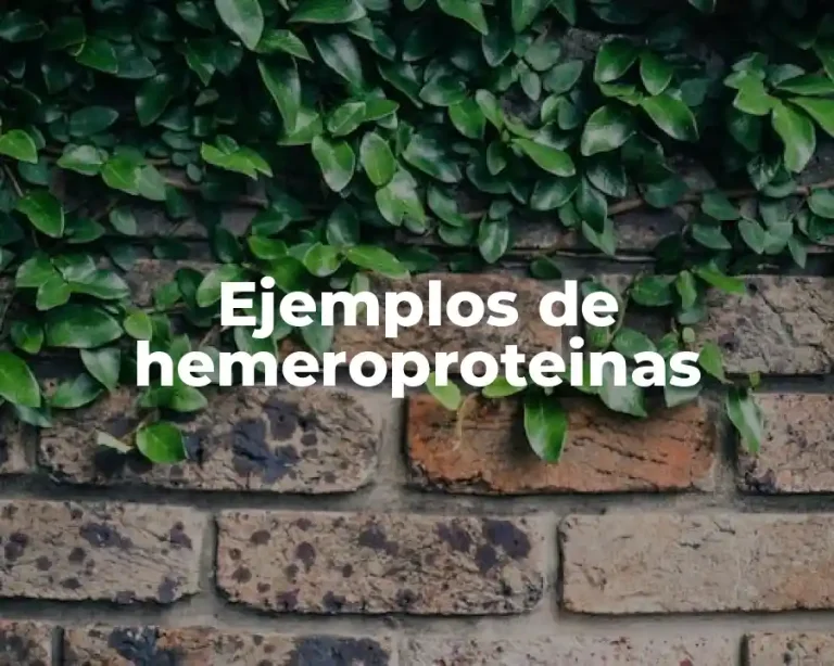 Ejemplos de hemeroproteinas