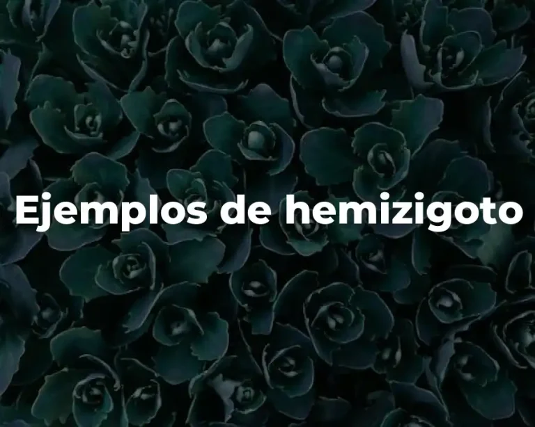 Ejemplos de hemizigoto