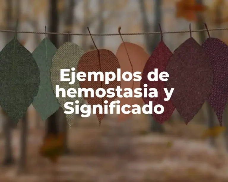 Ejemplos de hemostasia y Significado