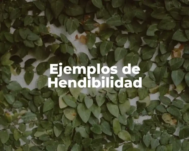 Ejemplos de Hendibilidad