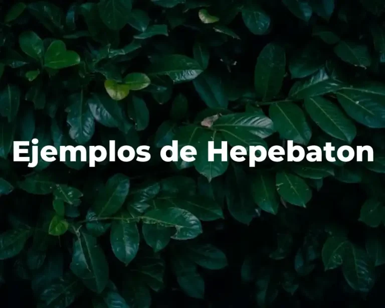 Ejemplos de Hepebaton