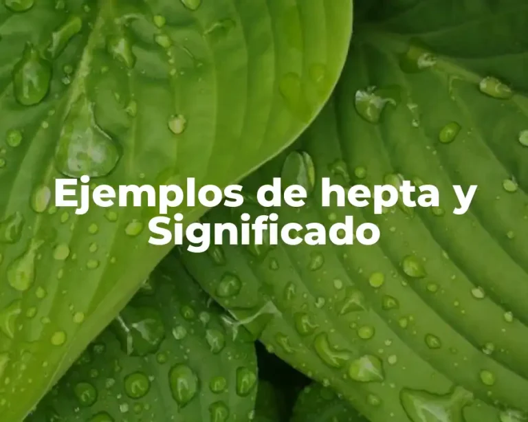 Ejemplos de hepta y Significado