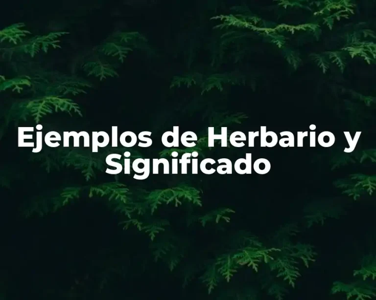 Ejemplos de Herbario y Significado