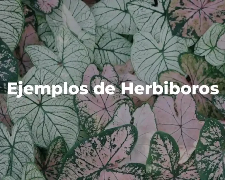 Ejemplos de Herbiboros