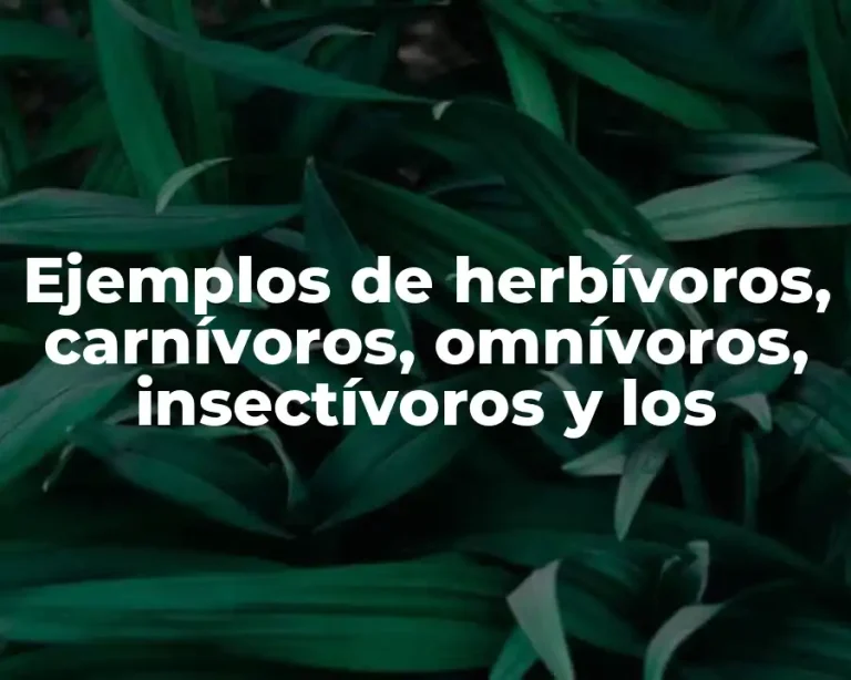 Ejemplos de herbívoros, carnívoros, omnívoros, insectívoros y los