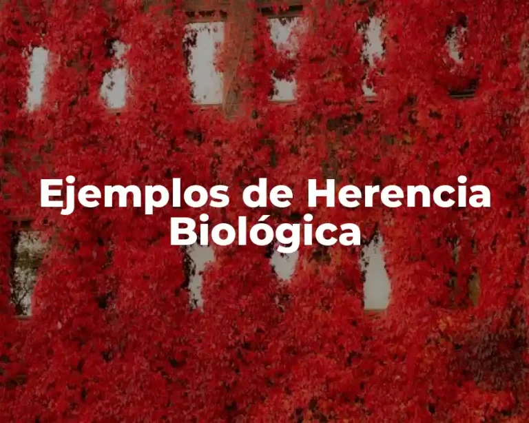 Ejemplos de Herencia Biológica