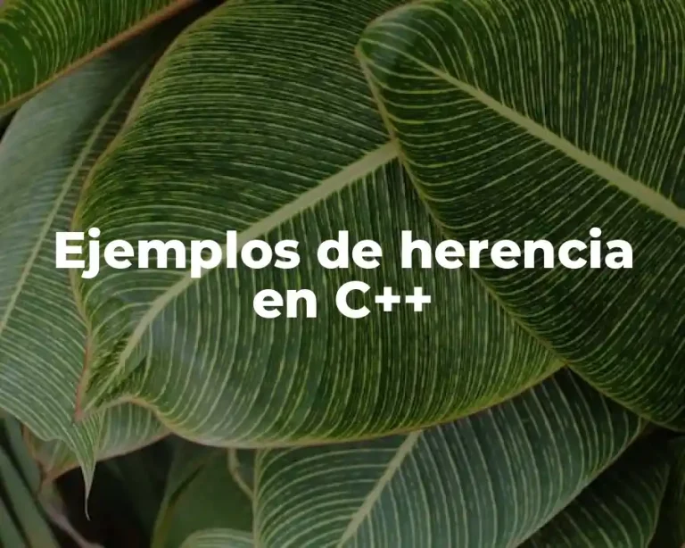 Ejemplos de herencia en C++
