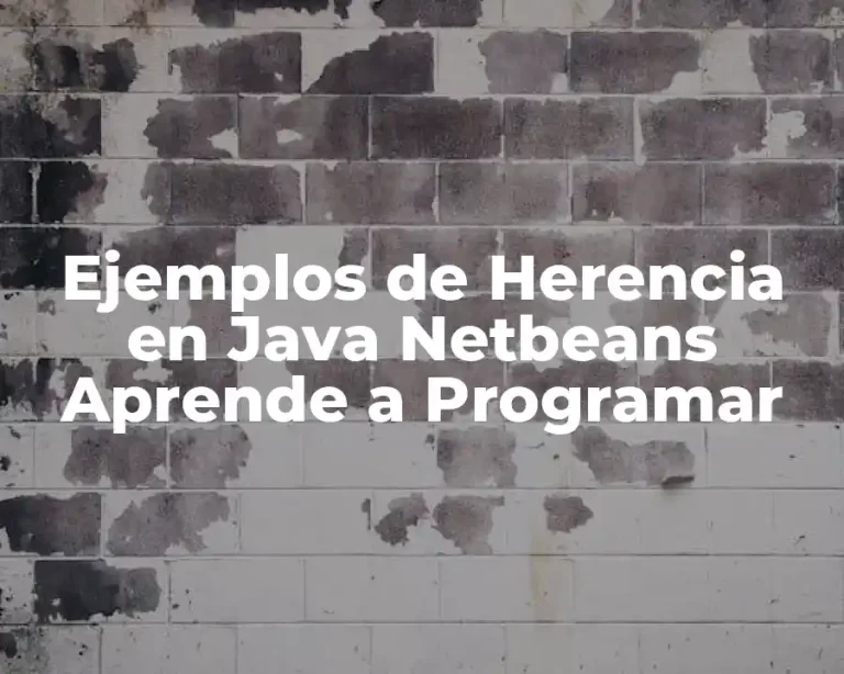 Ejemplos de Herencia en Java Netbeans Aprende a Programar