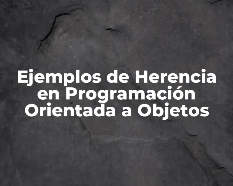Ejemplos de Herencia en Programación Orientada a Objetos