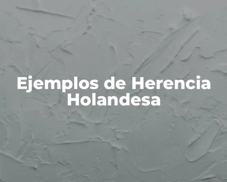 Ejemplos de Herencia Holandesa