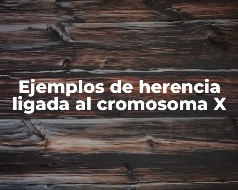 Ejemplos de herencia ligada al cromosoma X