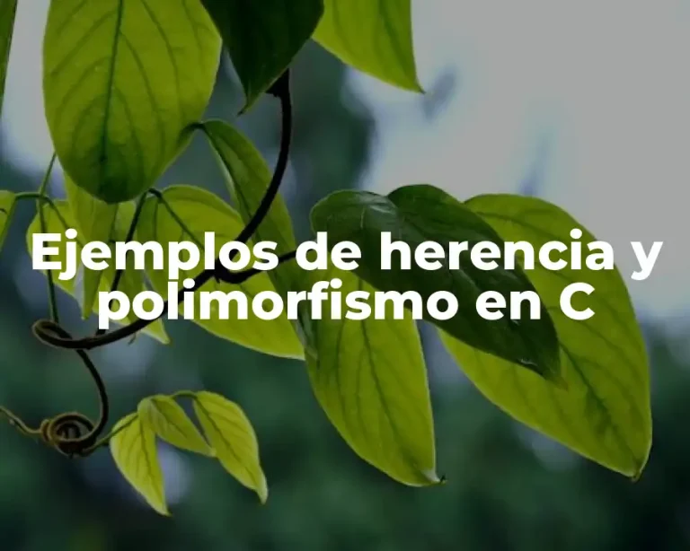 Ejemplos de herencia y polimorfismo en C