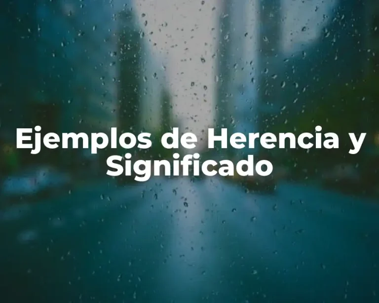Ejemplos de Herencia y Significado