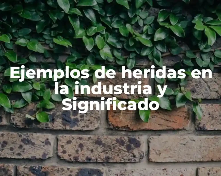 Ejemplos de heridas en la industria y Significado