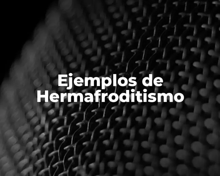 Ejemplos de Hermafroditismo