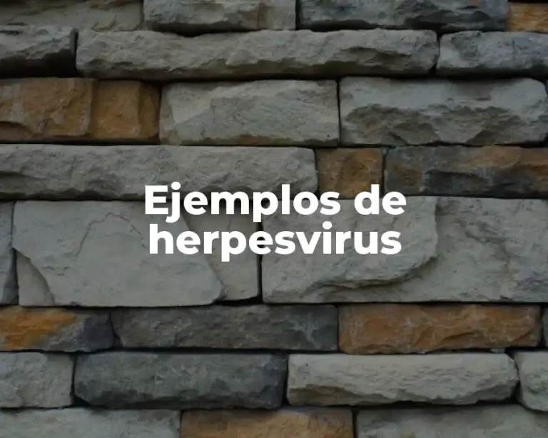 Ejemplos de herpesvirus