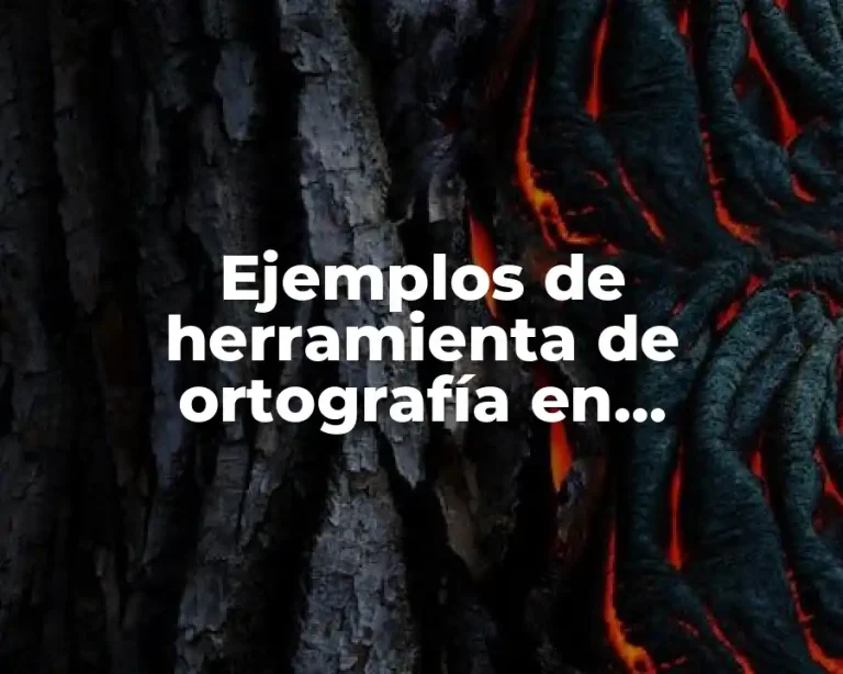 Ejemplos de herramienta de ortografía en documentos de Drive