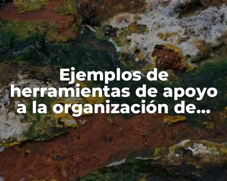Ejemplos de herramientas de apoyo a la organización de producción