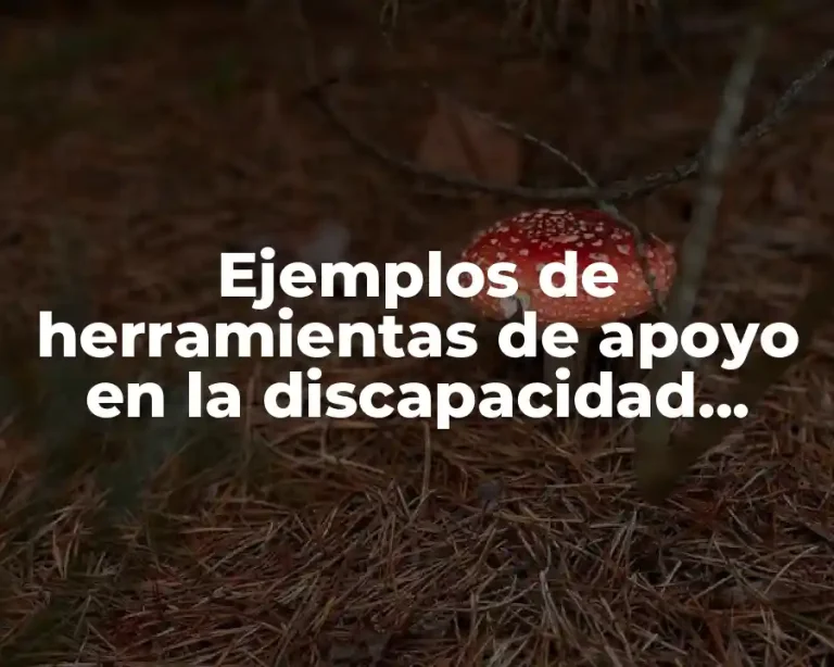 Ejemplos de herramientas de apoyo en la discapacidad auditiva
