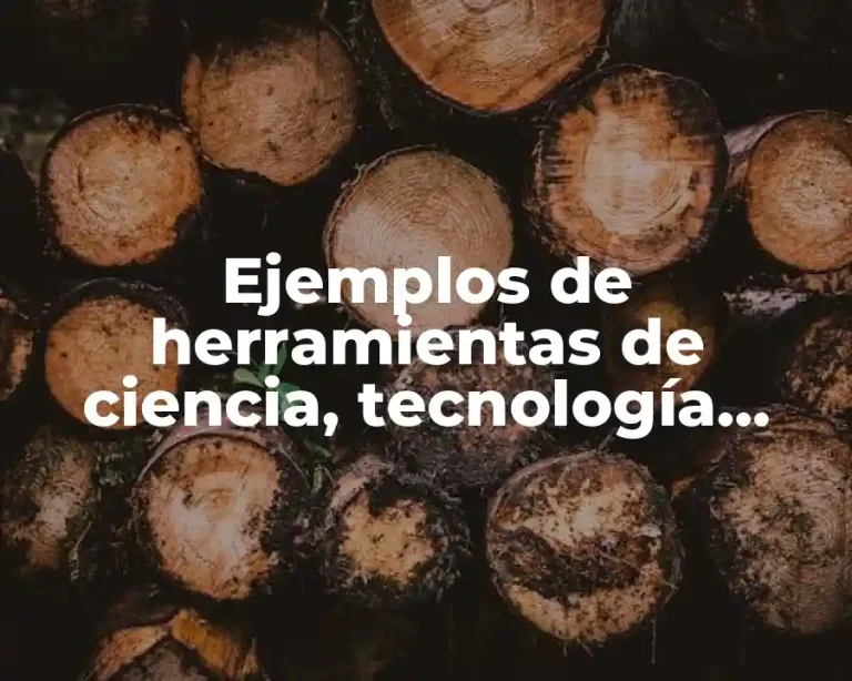 Ejemplos de herramientas de ciencia, tecnología, ingeniería y matemáticas
