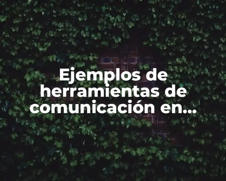Ejemplos de herramientas de comunicación en internet